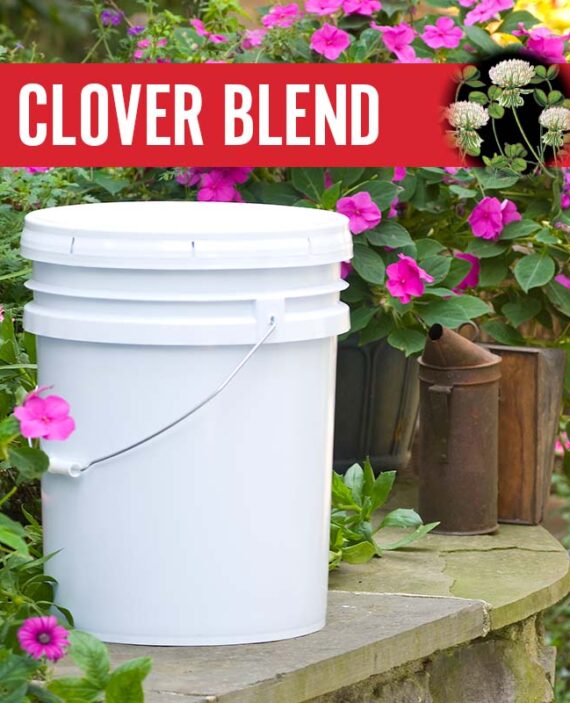 Clover Blend