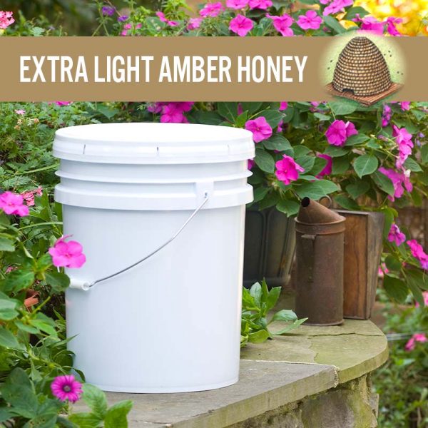 Extra Light Amber Honey